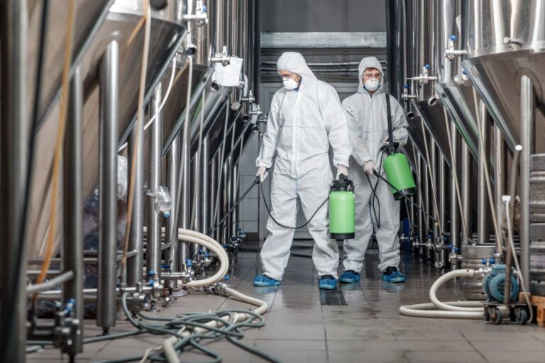 Cleaning and disinfection. two men in protective suits and spray bag work at plant